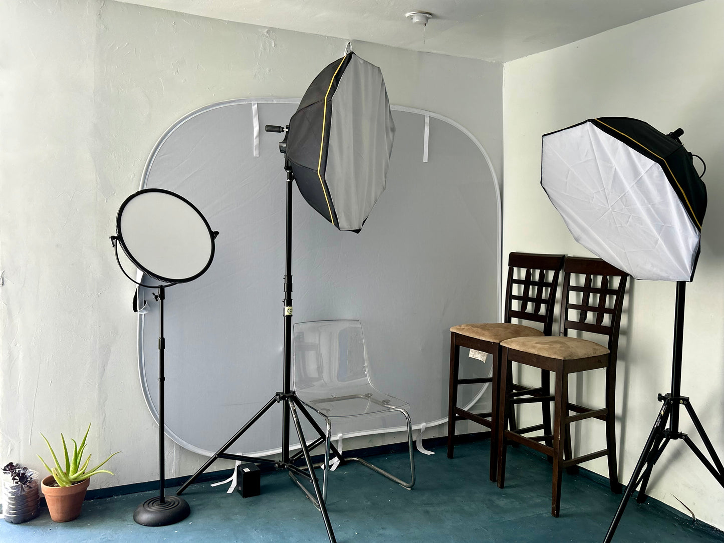 Rent Studio Space: Back drop + lights 1 hour Up to 2-5 people